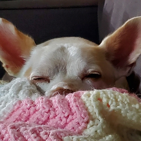 Meet your Posher, Carlene - Picture 1 of 1